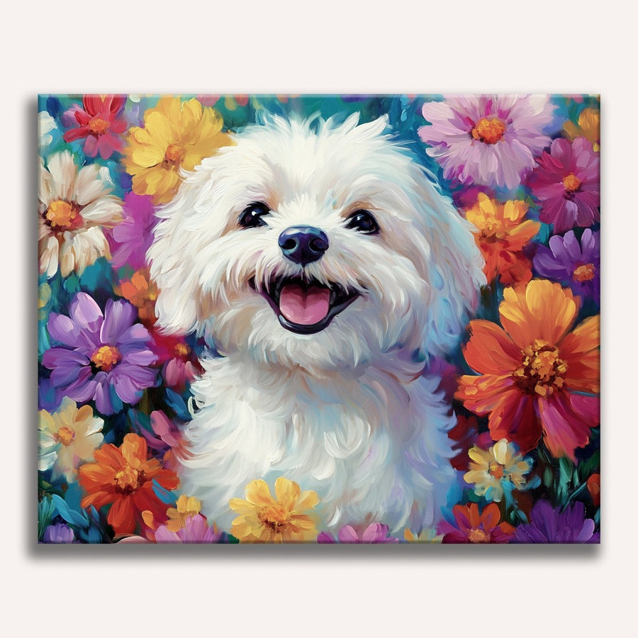 لوحة Bichon Frise
